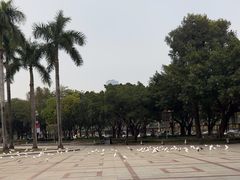 -顺峰山公园