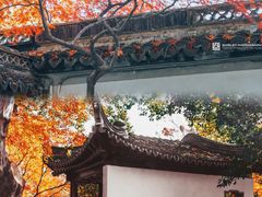 -秋霞圃