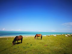 -青海湖国家重点风景名胜区