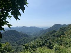 -大岭沟猕猴桃谷风景区