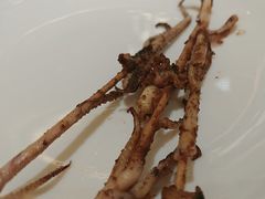 -湖州东吴开元名都酒店-滨河自助餐厅