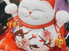 -北京派仕佳德动物医院·超导核磁·CT·神经科·骨科·内外科·急重症管理中心