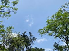 -青龙山国家森林公园