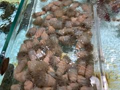 -味茂·老船夫1927(东海东路店)
