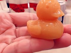 -全聚德(上海首店浦东店)