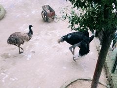 -武汉紫薇都市田园