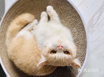约会啥的也方便，嘿嘿，还是不错的哟