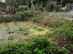 -三圣花乡旅游区