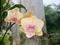 -白云山索道-售票处