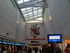 -约翰·菲茨杰拉德·肯尼迪国际机场