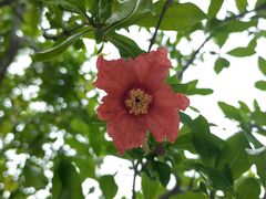 -洛阳市隋唐城遗址植物园