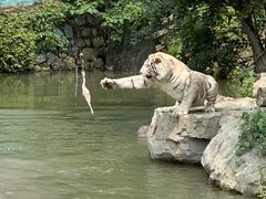 -宁波野生动物园