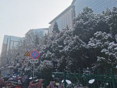 -北京协和医院(东单院区)