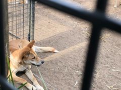 -费瑟代尔野生动物园