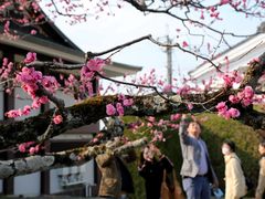 -醍醐寺