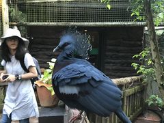 -清迈夜间动物园