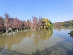 -海珠湖公园