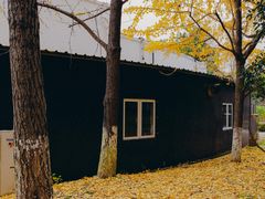 -月湖风景区