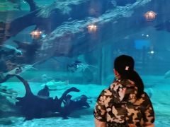 -华夏文旅海洋公园