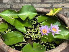 -青芝山风景名胜区