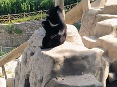 -石家庄市动物园