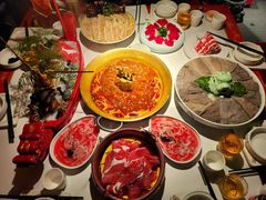 -小龙翻大江文化火锅(宽窄店)