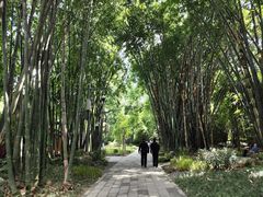 -望江楼公园