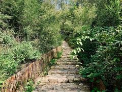 -莫干山风景区