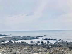 -涉地可支