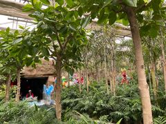 -南宫五洲植物乐园