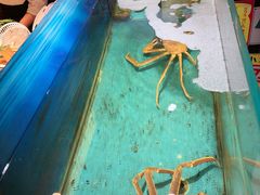 -千代武日本料理(爱建店)