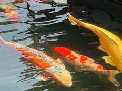 -西安市广仁寺