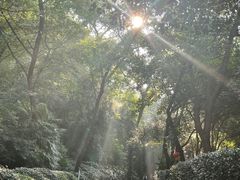 -北极阁公园
