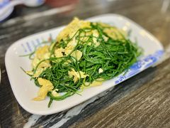 -靖远尕六美味羊羔肉