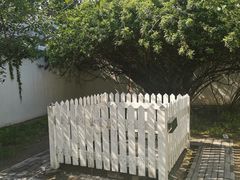 -北京鲁迅博物馆(北京新文化运动纪念馆鲁博馆区)