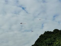 -风云岭森林公园