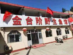 -金台阶鱼馆(于桥水库店)
