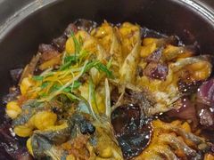 -金龙寨(龙城路店)