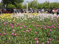 -长春公园(普阳街道)