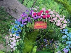 -沂蒙云瀑洞天景区