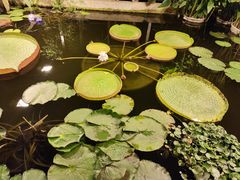 -国家植物园南园