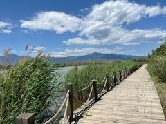 -野鸭湖国家湿地公园