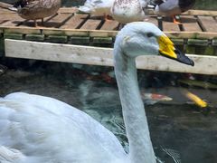 -海合安青岛极地海洋公园