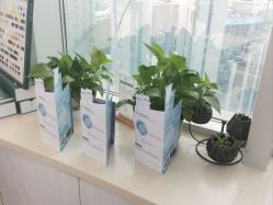 点击看大图 -瓷肌博士·祛痘科技美肤