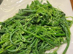 -南海鸽天下(肇庆店)
