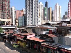 -油麻地果栏