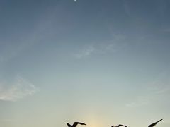-星海广场