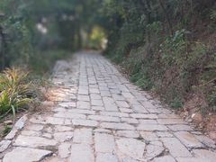 -井塘古村