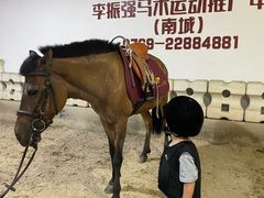 -李振强马术运动推广中心(南城店)