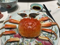 -新光酒家·河豚·海鲜·蟹料理(浦东店)